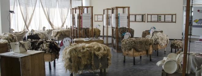 biella the wool company