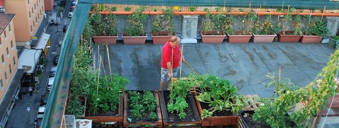 biodivercity