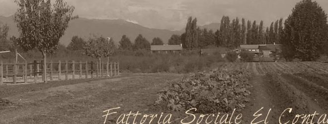 bottega sapori saperi treviso