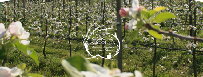 cascina angiolina