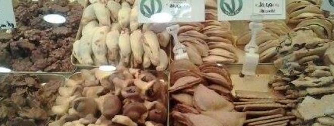 ceccolinibio