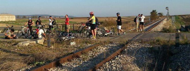 ciclo murgia