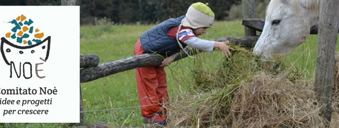 comitato noe idee e progetti per crescere