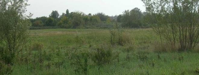 comitato parco schiaccianoci ferrara