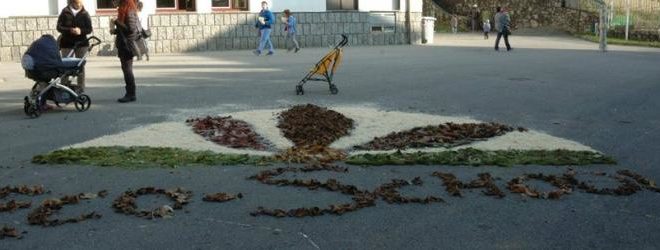 eco school triangia