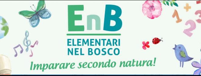 elementari del bosco firenze