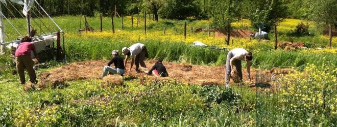 fattoria giardino orto condiviso