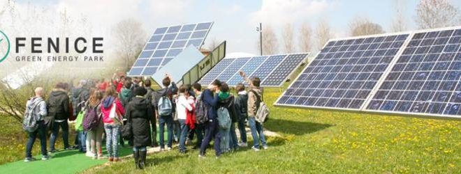 fenice green energy