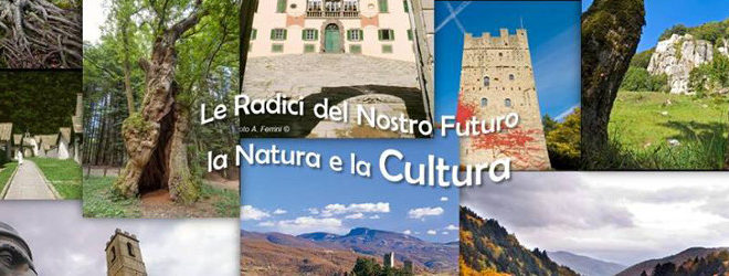 fondazione baracchi