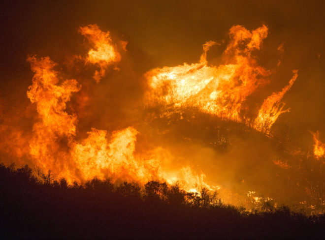 forest fire 3905864 1920 1
