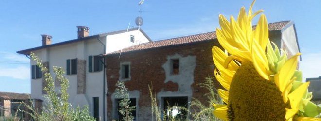 girasole