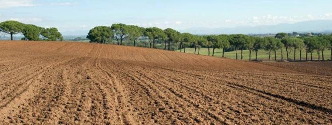 i casali del pino
