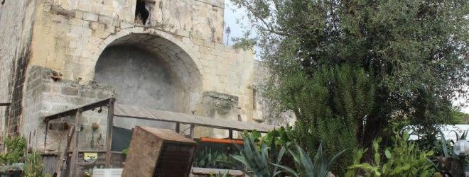 la masseria miele circolo arci