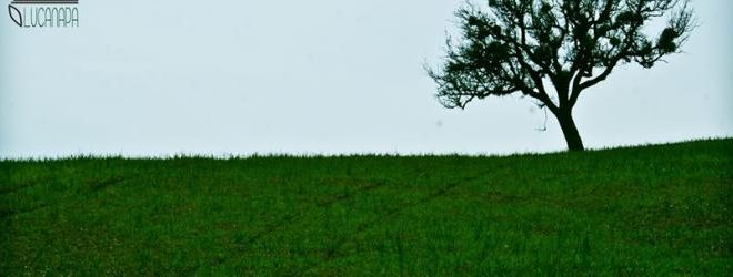 lucanapa associazione