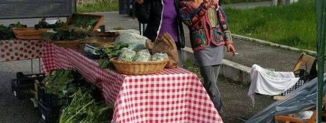 mercatino contadino bricchiorto e ortoggi