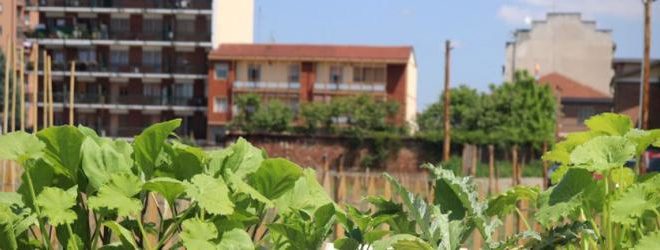 orti generali