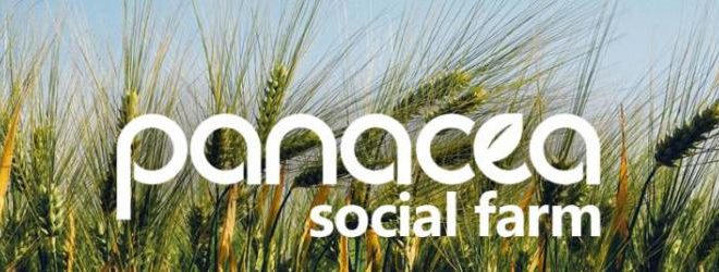 panacea social farm