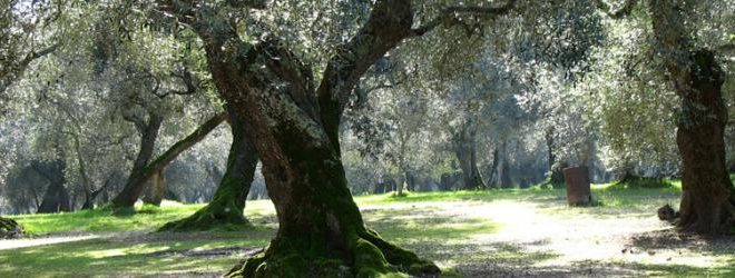 parco dei paduli