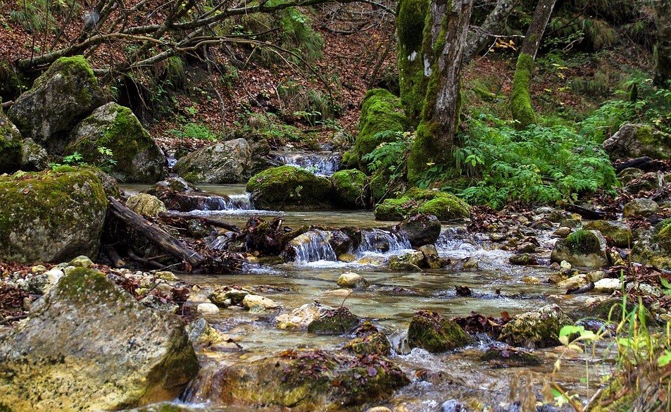 parco ruscello