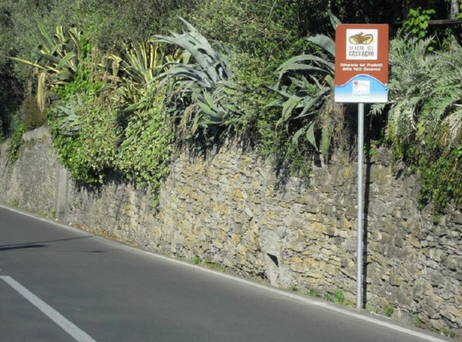 strada del castagno social 1