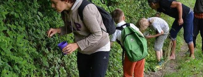 universita nel bosco