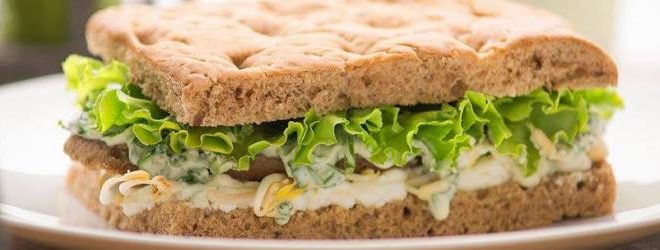 universo vegano cesena