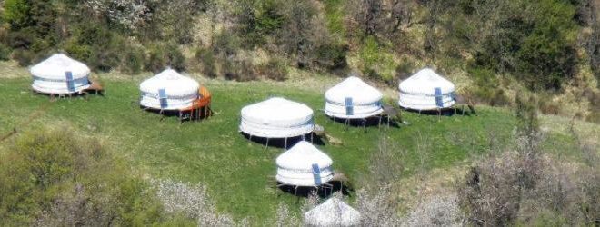 yurt paradise