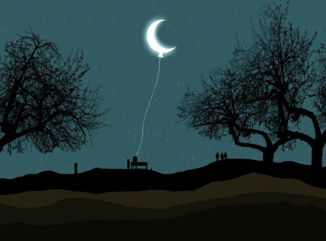Foto di Syaibatul Hamdi da Pixabay
