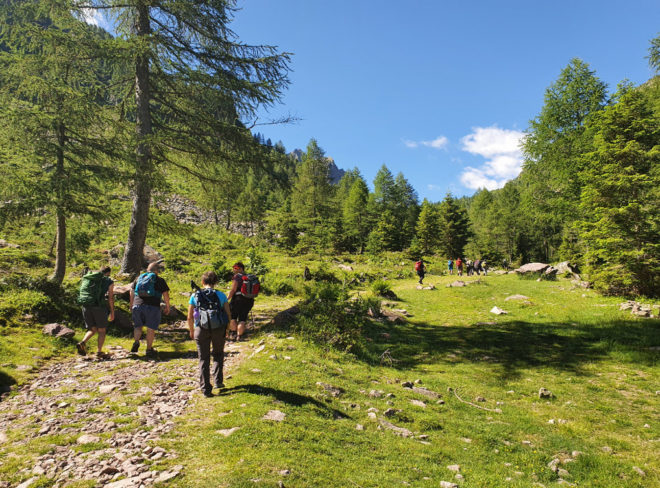 IT.A.CA Trentino 1