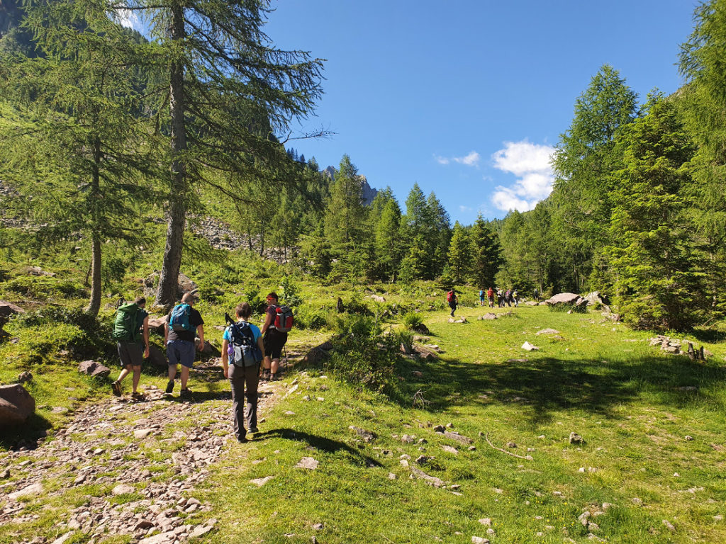 IT.A.CA Trentino
