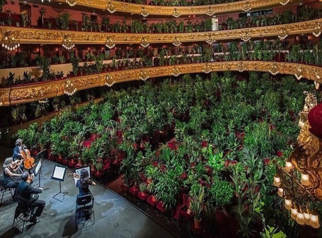 artists for plants 1 1