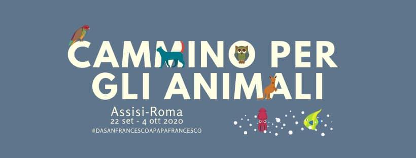 cammino animali