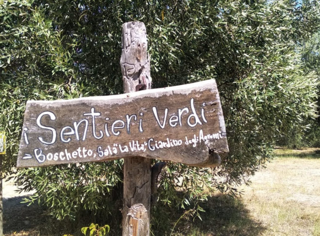 terra di pace 2