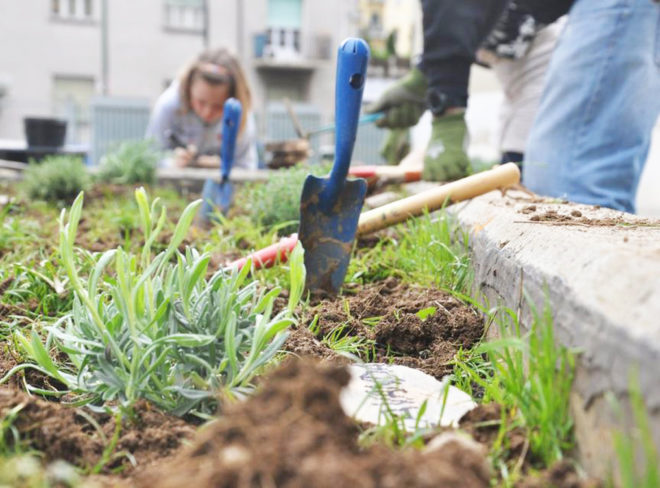Agrobarriera3 1