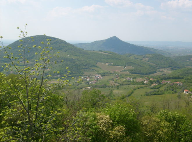 Particolare dei Colli Euganei