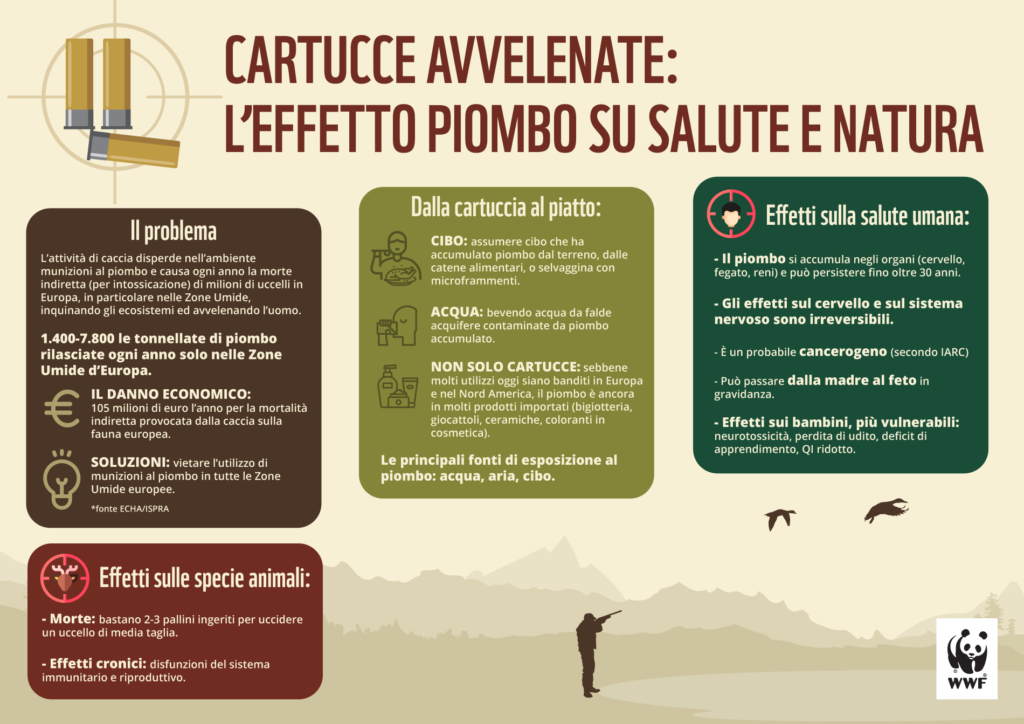 infografica cartucce avvelenate