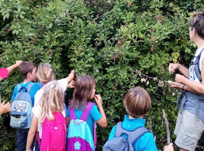 natura bambini ant 1