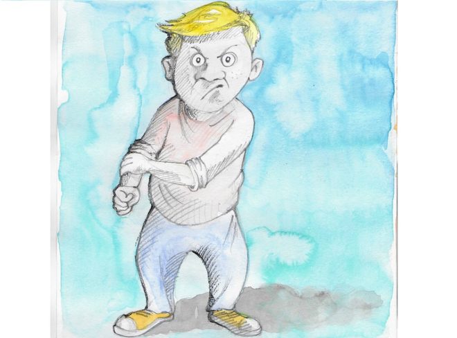 Il grandegrossoMisterD 1