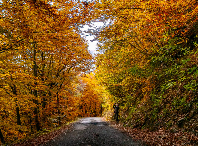 Neraissa Monte Autes Autunno 2020 20