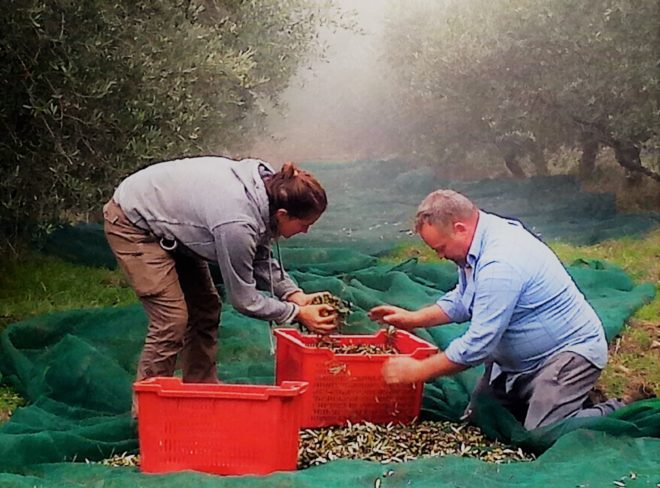 foto scelta olive