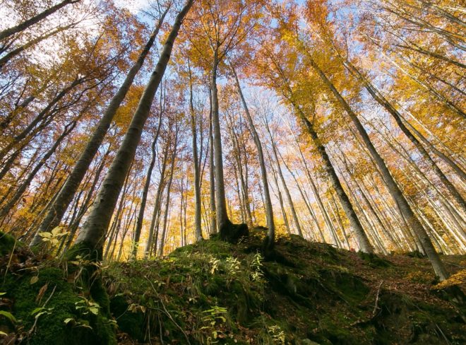 monte amiata