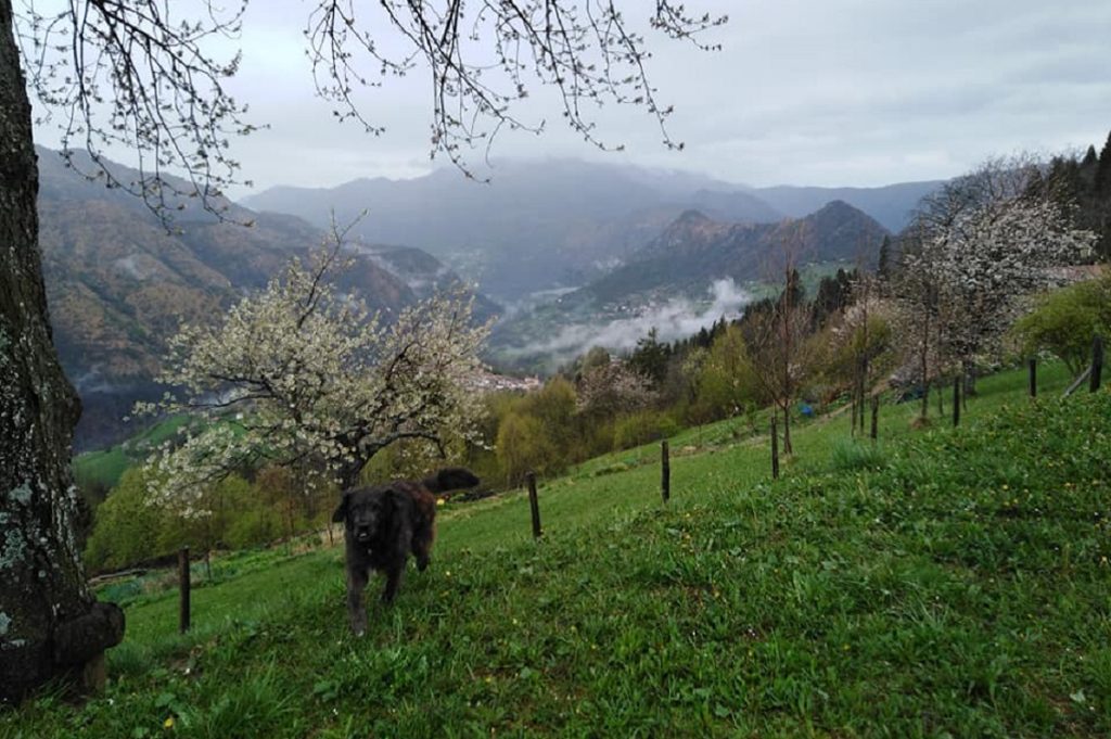 santuario degli erbivori 3