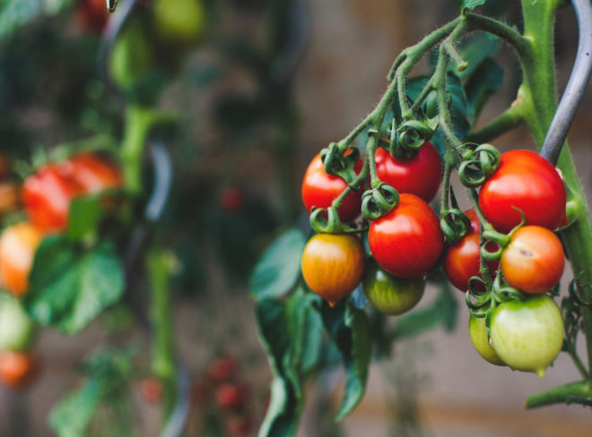 markus spiske 3rGrIigBq8Q unsplash 1
