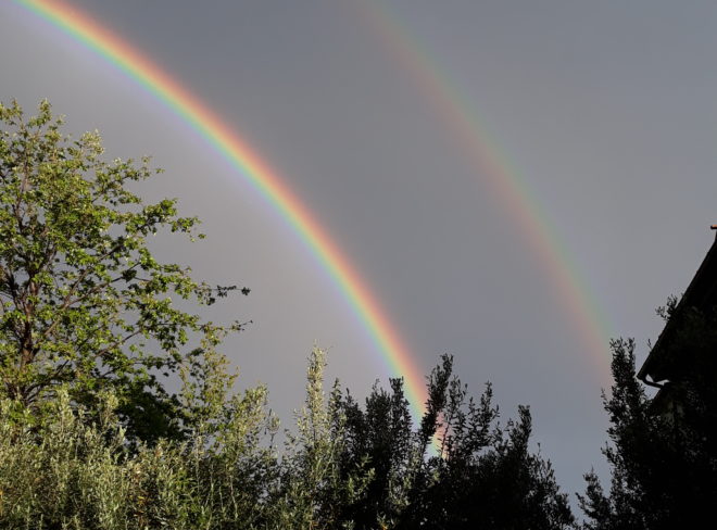20190426 190629