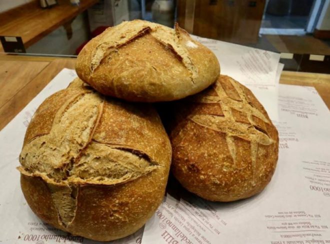 Pane anno Mille copertina articolo