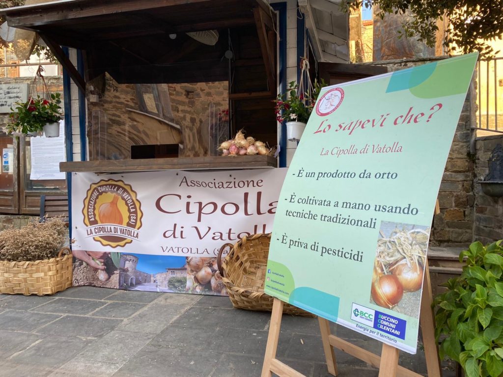 cipolla vatolla. 1