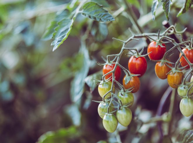 markus spiske nJtmd4ANdR4 unsplash