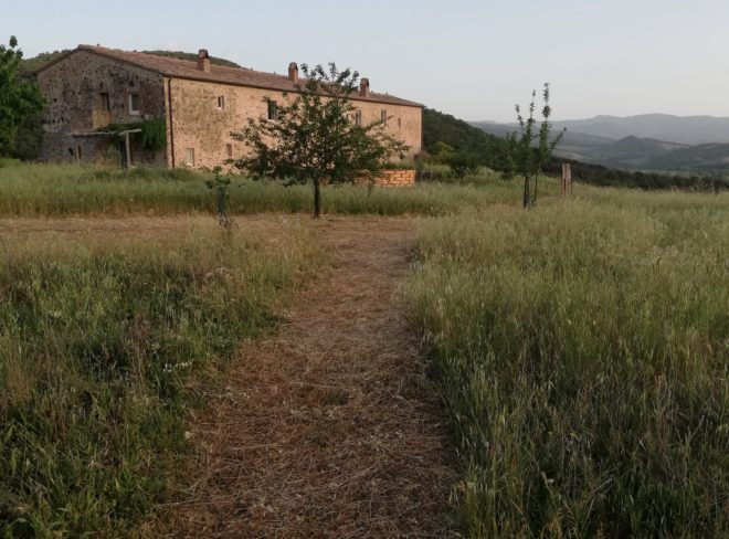 IMG 20200517 192606