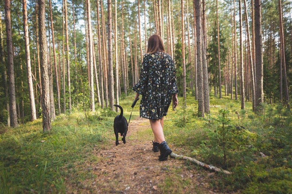 pet forest therapy 5