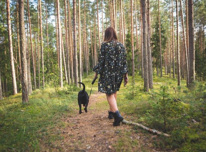 pet forest therapy 5